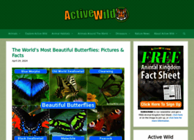 Activewild.com thumbnail