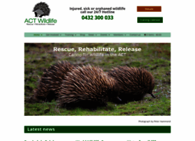 Actwildlife.net thumbnail Actwildlife.net thumbnail