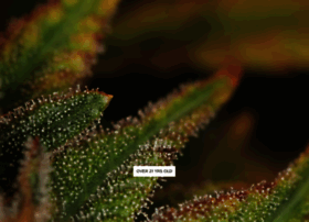 Agrijuana.com thumbnail