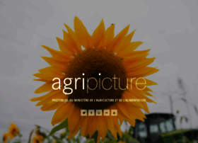 Agripicture.fr thumbnail