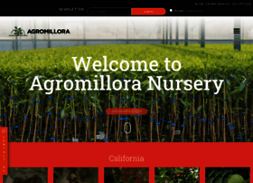 Agromillora-ca.com thumbnail