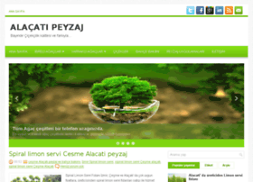 Alacatipeyzaj.com thumbnail