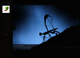 Alexanderwild.com thumbnail