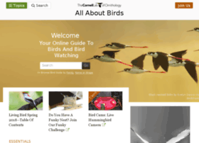 Allaboutbirds.net thumbnail