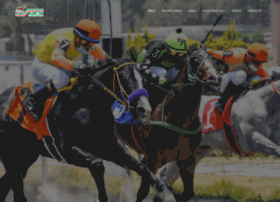 Amcm.com.mx thumbnail