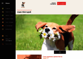 Ami-shegoday.com thumbnail