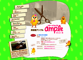 Ample-net.com thumbnail