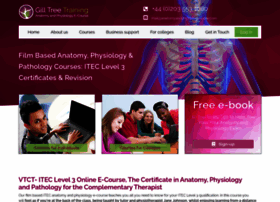 Anatomyandphysiologyonline.com thumbnail