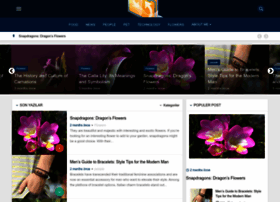 Aneld.com thumbnail