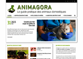 Animal-domestique.fr thumbnail