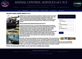 Animalcontrolcny.com thumbnail