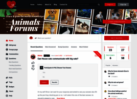 Animalsforums.com thumbnail