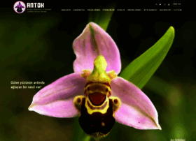 Antok.org.tr thumbnail