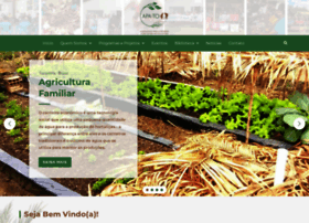 Apato.org.br thumbnail