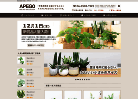 Apego.jp thumbnail