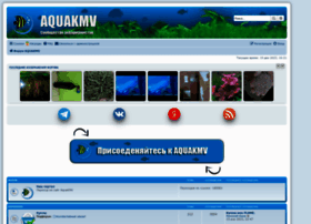 Aquakmv.com thumbnail