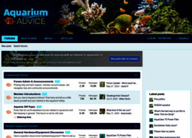 Aquariumadvice.com thumbnail
