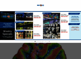 Aquariumdesigns.com thumbnail