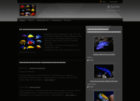 Aqvazoomir.n4.biz thumbnail Aqvazoomir.n4.biz thumbnail