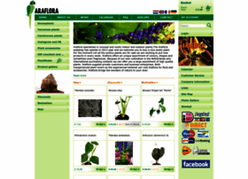 Araflora.com thumbnail