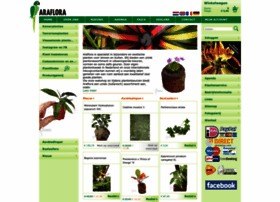 Araflora.nl thumbnail