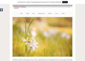 Ariene.pl thumbnail