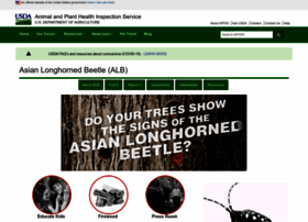 Asianlonghornedbeetle.com thumbnail