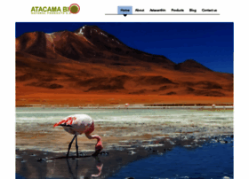 Atacamabionatural.com thumbnail