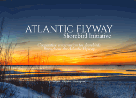Atlanticflywayshorebirds.org thumbnail