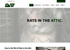 Attic-rat.com thumbnail