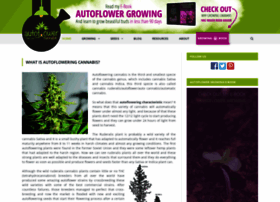 Autoflowering-cannabis.com thumbnail