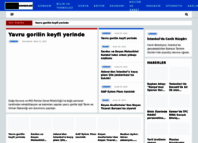 Aveakonserleri.com thumbnail