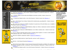 Aybir.org.tr thumbnail