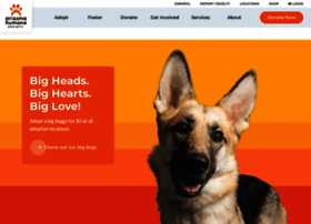 Azhumane.org thumbnail