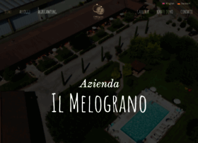 Aziendailmelograno.it thumbnail