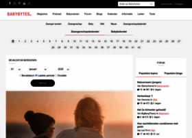 Babybytes.nl thumbnail