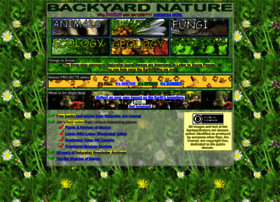 Backyardnature.net thumbnail