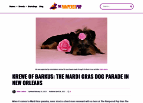 Barkus.org thumbnail