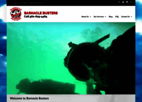 Barnaclebusters.com thumbnail