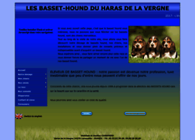 Basset-hound-fr.com thumbnail