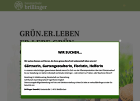 Baumschule-brillinger.at thumbnail
