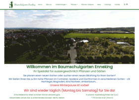 Baumschulgarten-enneking.de thumbnail