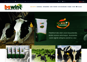 Bawin.com.tr thumbnail