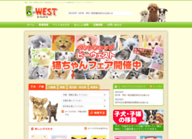 Be-west.com thumbnail