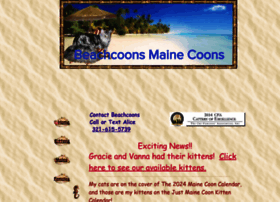 Beachcoons.com thumbnail