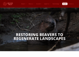 Beavertrust.org thumbnail