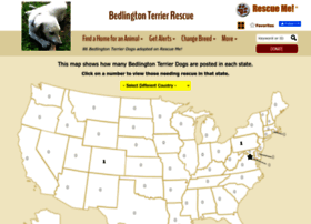 Bedlingtonterrier.rescueme.org thumbnail