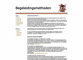 Begeleidingsmethoden.nl thumbnail