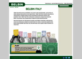Belbin-italy.com thumbnail