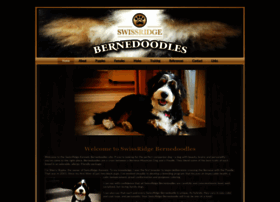 montgomery farms bernedoodle